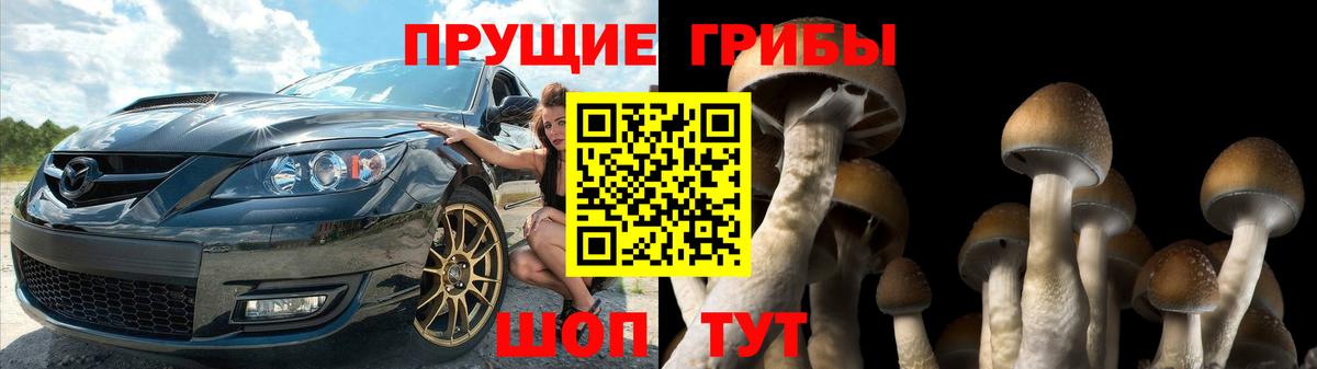 Галлюциногенные грибы ЛСД Тосно